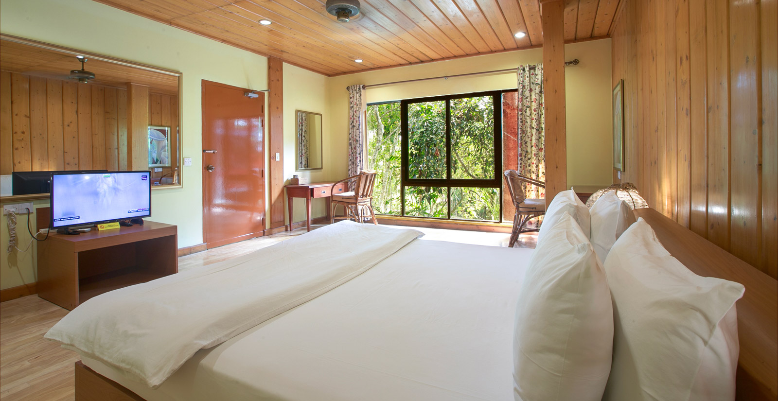 Tree Top Suite