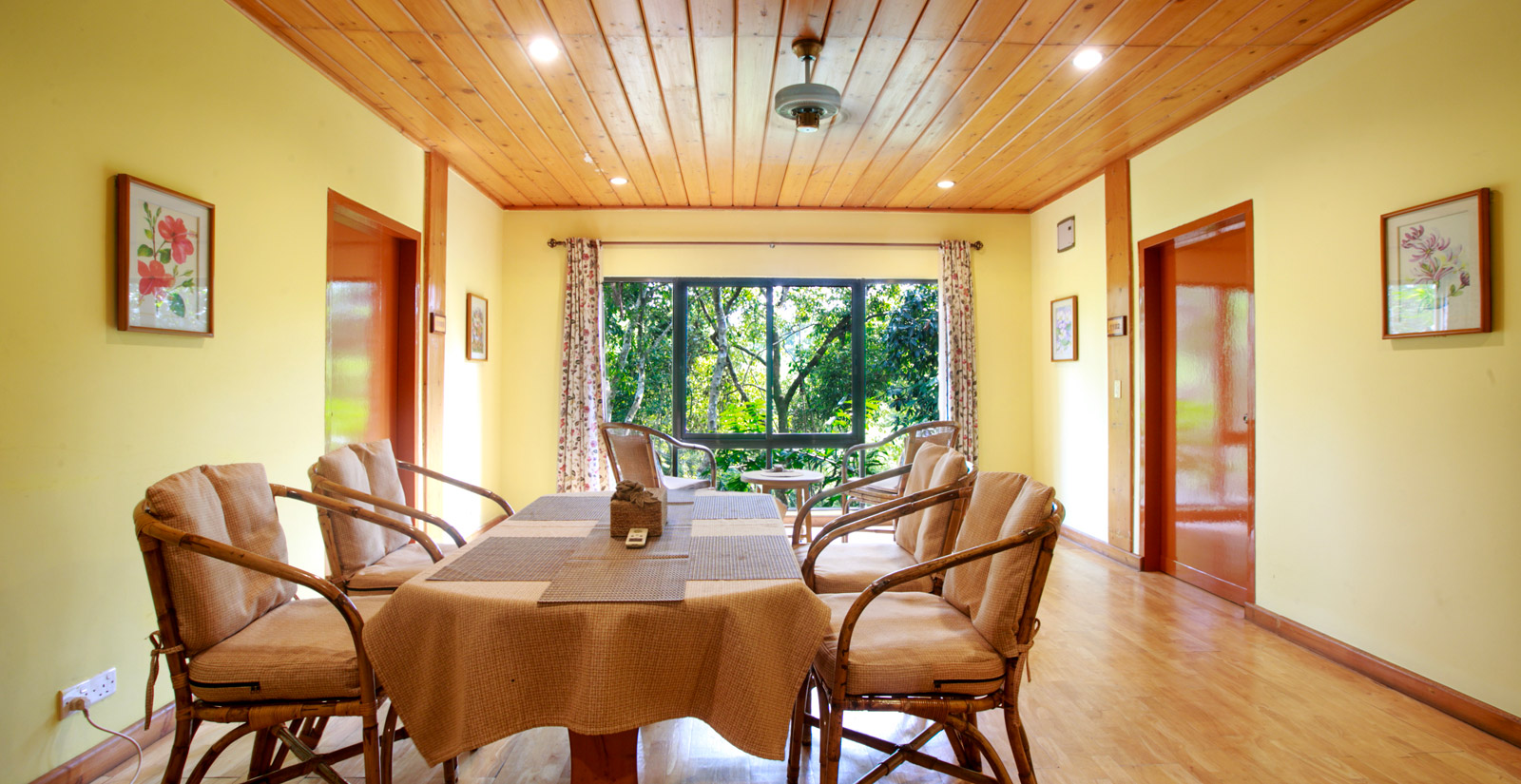 Tree Top Suite