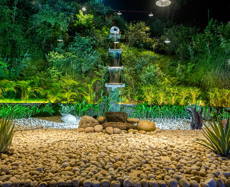The Cove